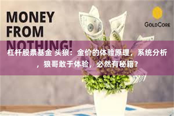杠杆股票基金 头狼：金价的体验原理，系统分析，狼哥敢于体验，必然有秘籍？