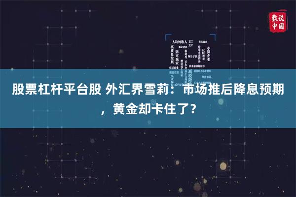 股票杠杆平台股 外汇界雪莉：市场推后降息预期，黄金却卡住了？