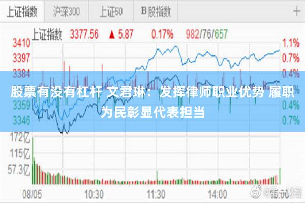 股票有没有杠杆 文君琳：发挥律师职业优势 履职为民彰显代表担当