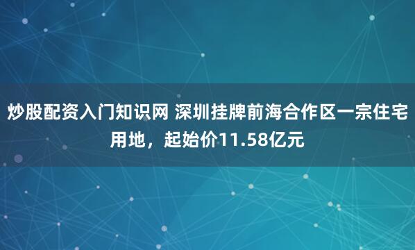炒股配资入门知识网 深圳挂牌前海合作区一宗住宅用地，起始价11.58亿元