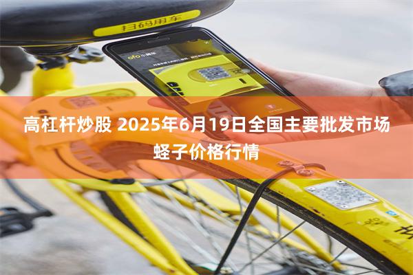 高杠杆炒股 2025年6月19日全国主要批发市场蛏子价格行情