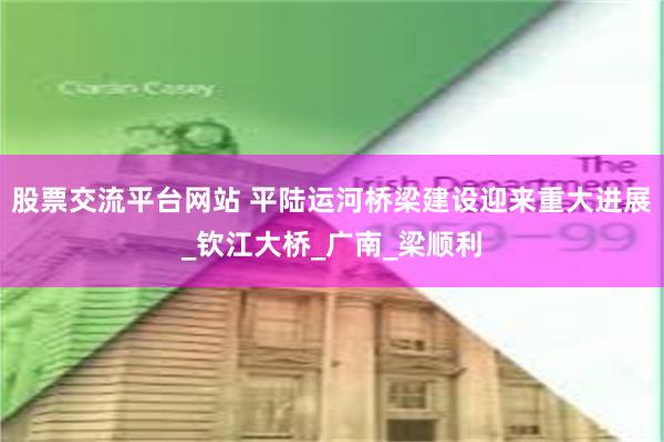 股票交流平台网站 平陆运河桥梁建设迎来重大进展_钦江大桥_广南_梁顺利
