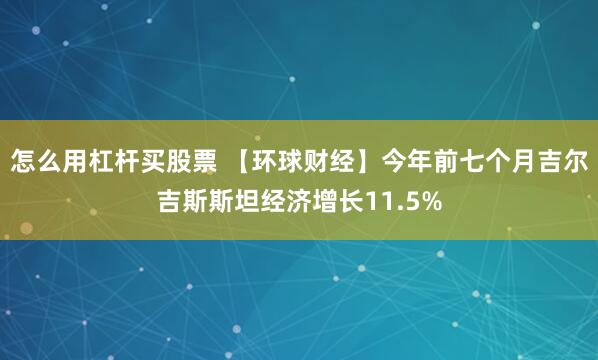 怎么用杠杆买股票 【环球财经】今年前七个月吉尔吉斯斯坦经济增长11.5%