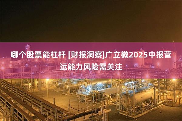哪个股票能杠杆 [财报洞察]广立微2025中报营运能力风险需关注