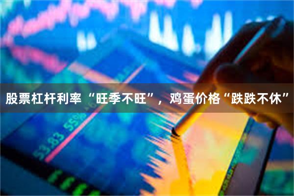 股票杠杆利率 “旺季不旺”，鸡蛋价格“跌跌不休”