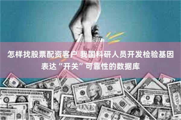 怎样找股票配资客户 我国科研人员开发检验基因表达“开关”可靠性的数据库