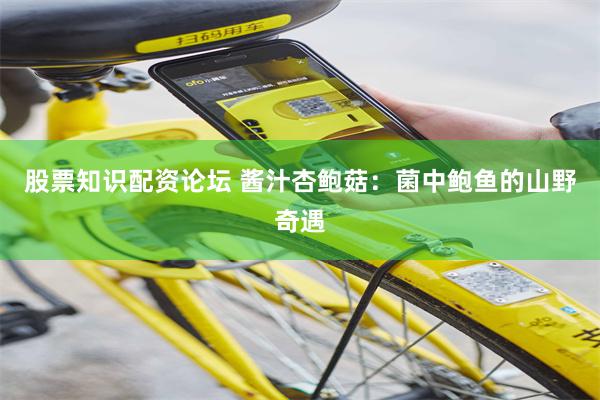 股票知识配资论坛 酱汁杏鲍菇：菌中鲍鱼的山野奇遇