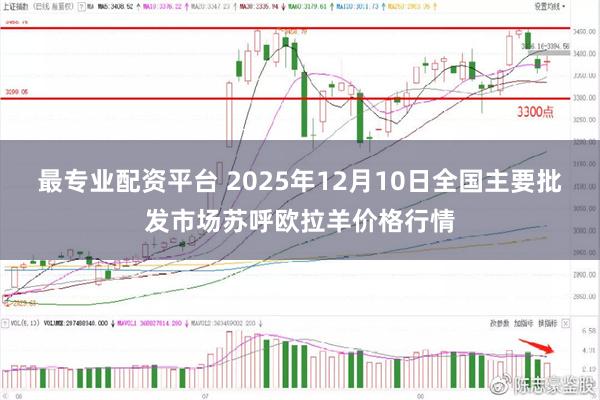 最专业配资平台 2025年12月10日全国主要批发市场苏呼欧拉羊价格行情